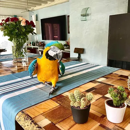 L'etape Basque 4* בידאר