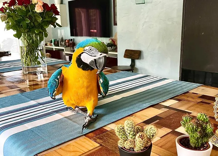 L'etape Basque 4* Bidart